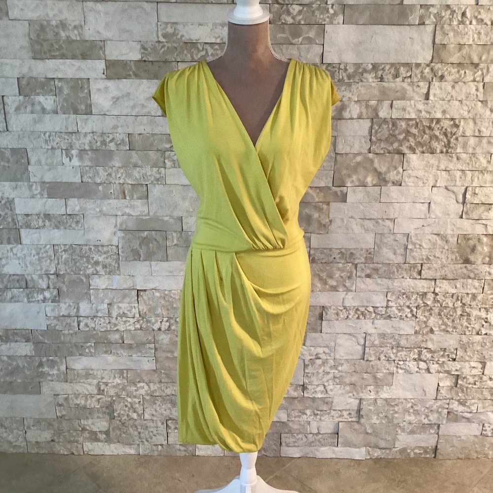 Josie Natori Dress